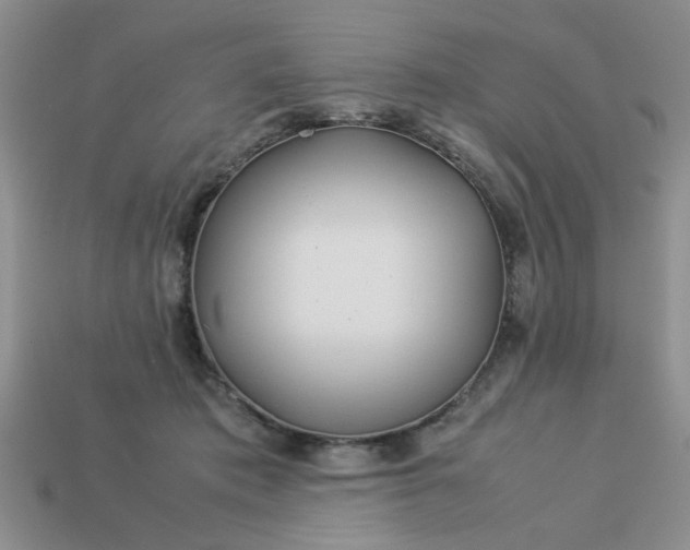 X0000113010413200909101821