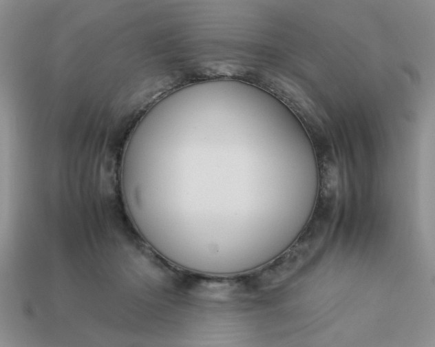 X0000113010414200909101821