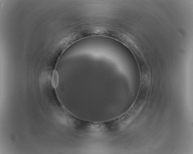 X0000113010415200909101821