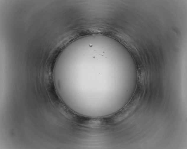 X0000113010418200909101821