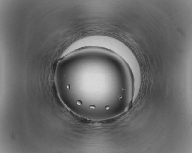 X0000113010419200909101821