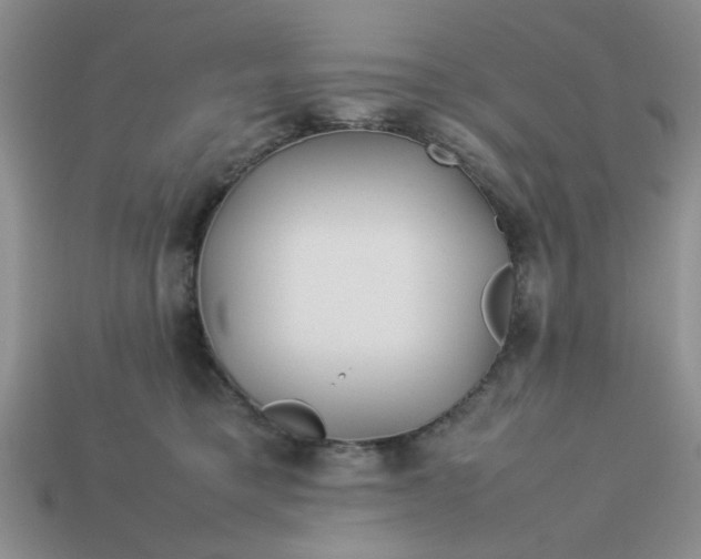 X0000113010421200909101821