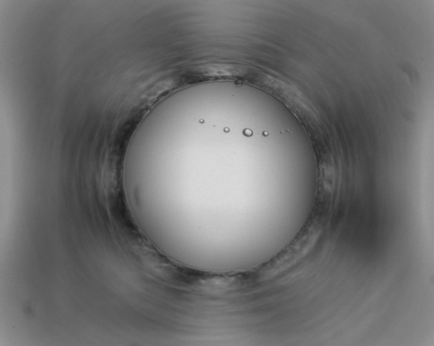 X0000113010422200909101821