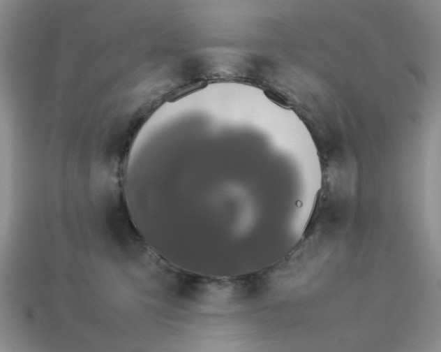 X0000113010423200909101821