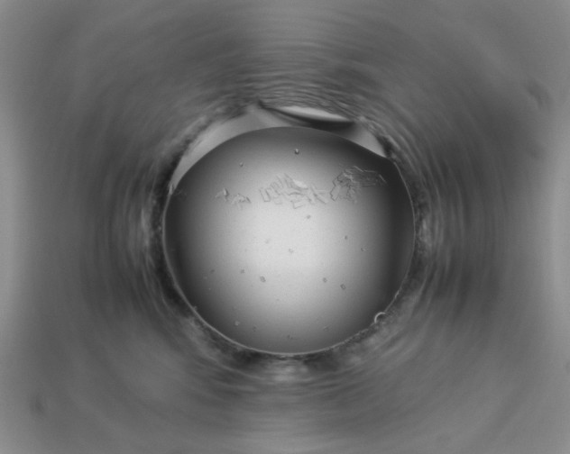 X0000113010424200909101821