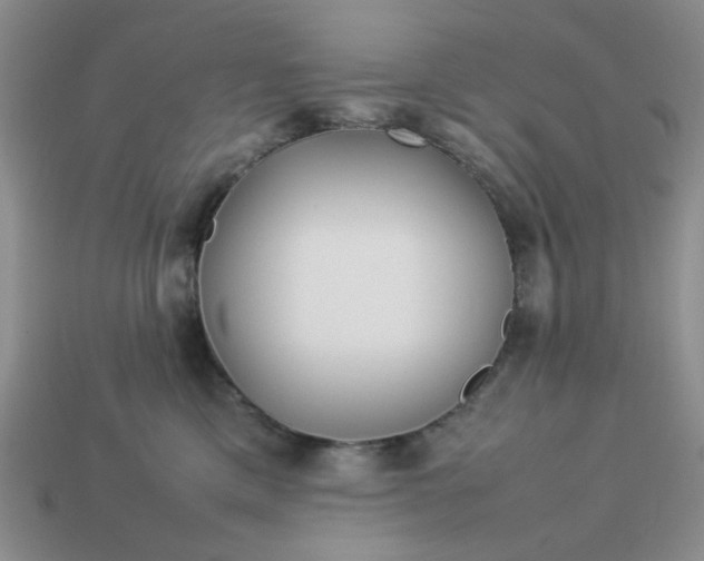 X0000113010425200909101821