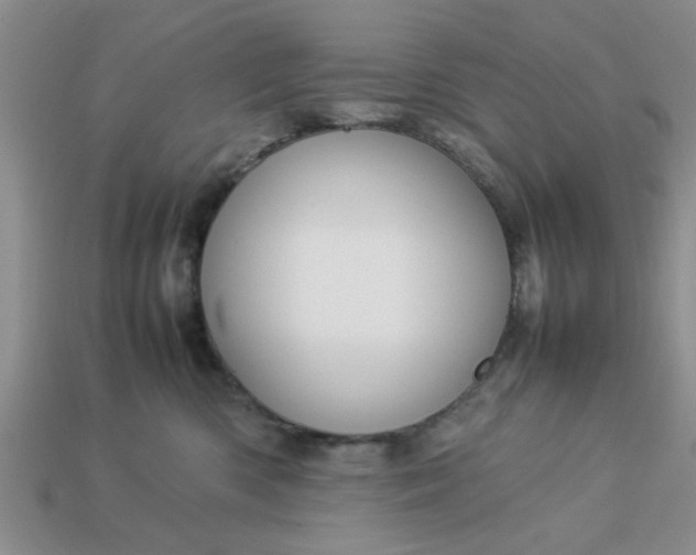 X0000113010426200909101821