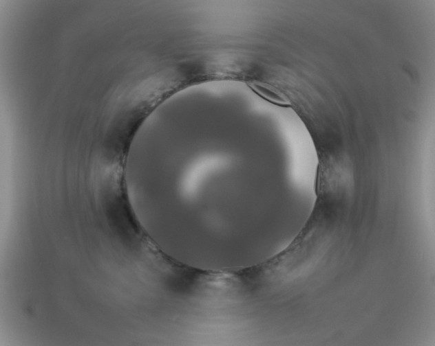 X0000113010427200909101821