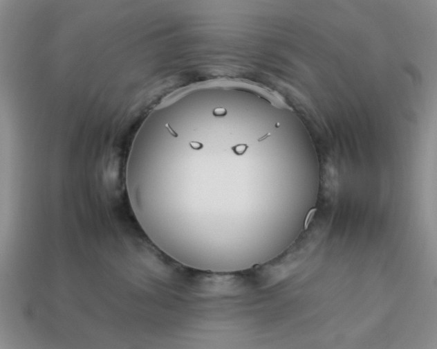 X0000113010428200909101821