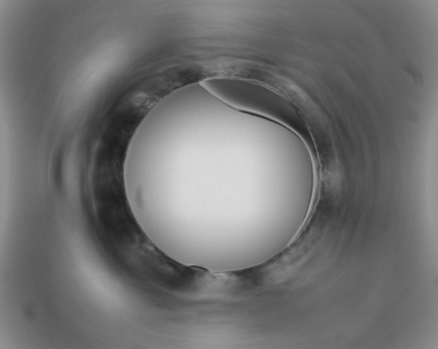 X0000113010429200909101821