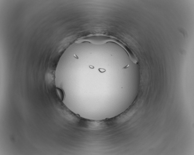 X0000113010432200909101821