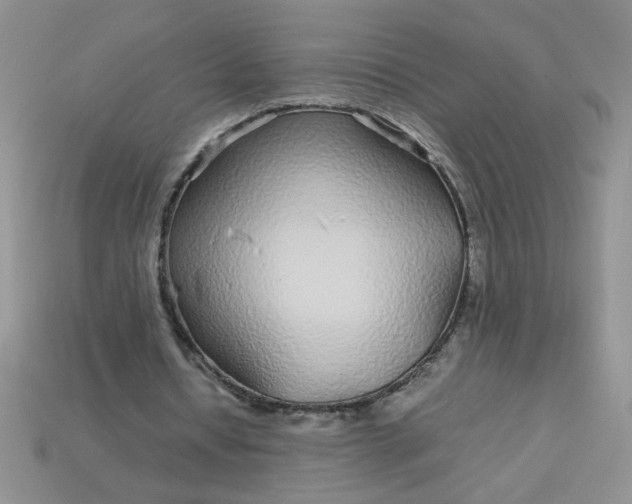 X0000113010434200909101820