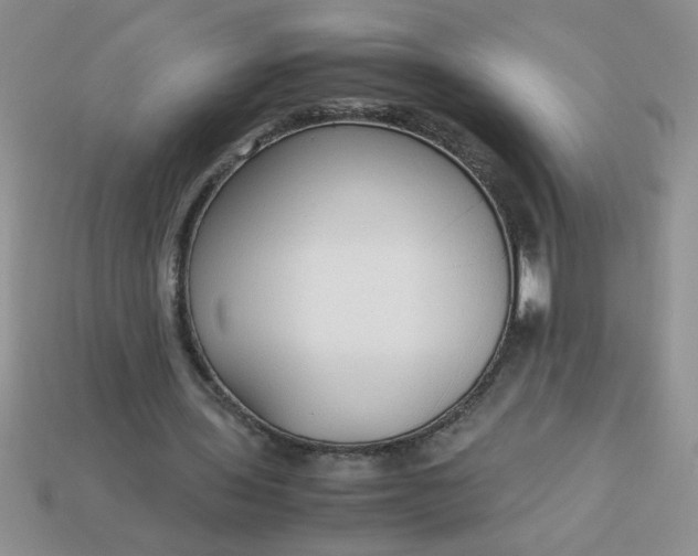 X0000113010435200909101820