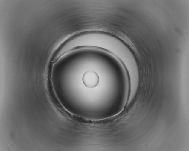 X0000113010436200909101820