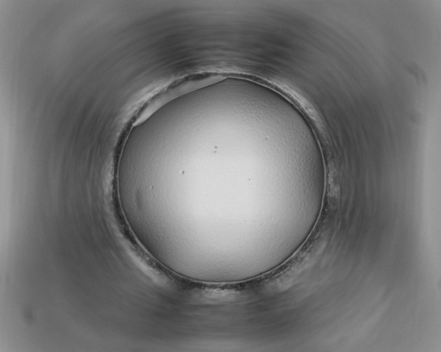 X0000113010437200909101821