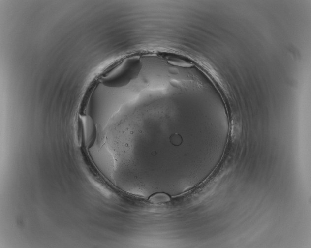 X0000113010438200909101821