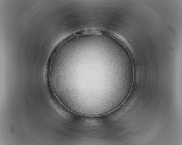 X0000113010439200909101821