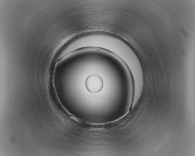 X0000113010440200909101821