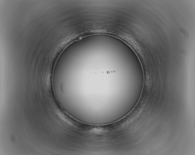 X0000113010441200909101821