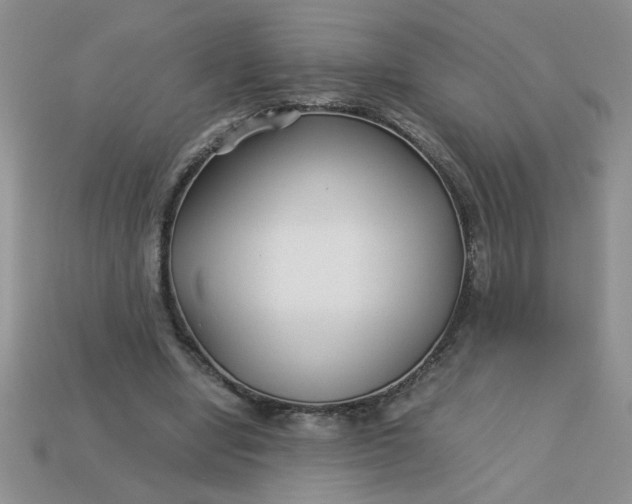 X0000113010442200909101821