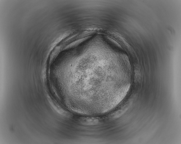 X0000113010443200909101821