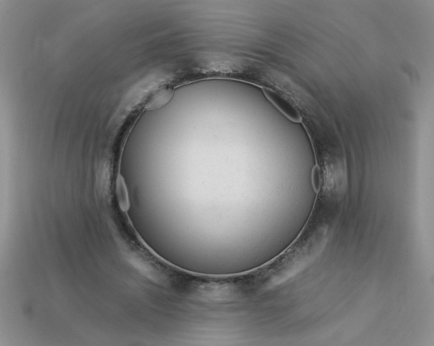 X0000113010444200909101821