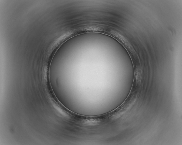 X0000113010445200909101821