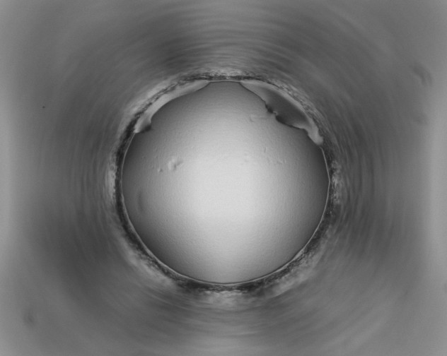 X0000113010446200909101821