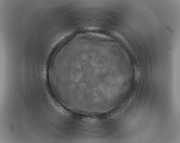 X0000113010447200909101821