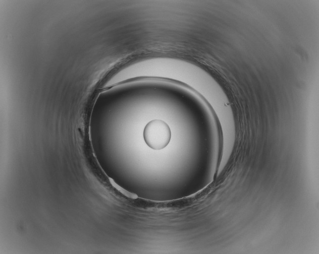 X0000113010448200909101821