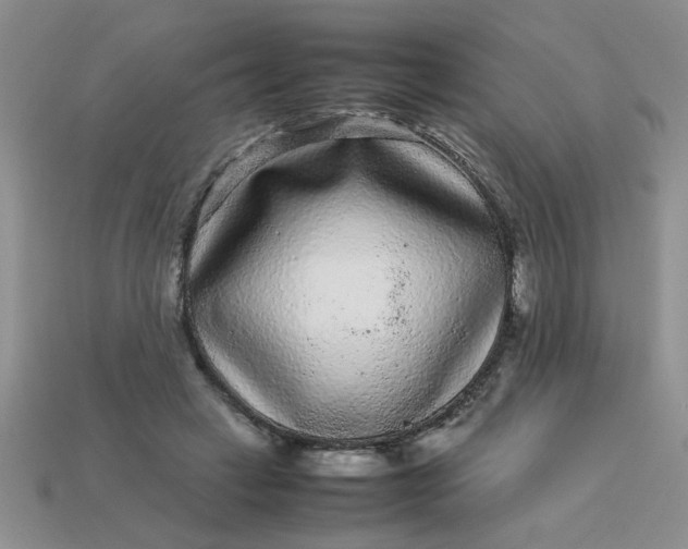 X0000113010449200909101821