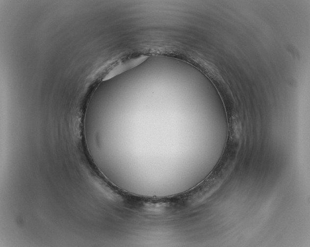 X0000113010450200909101821