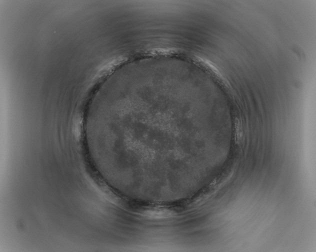 X0000113010451200909101821