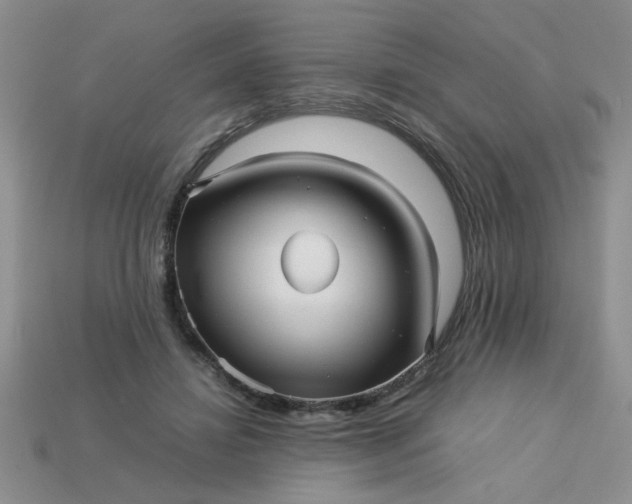 X0000113010452200909101821