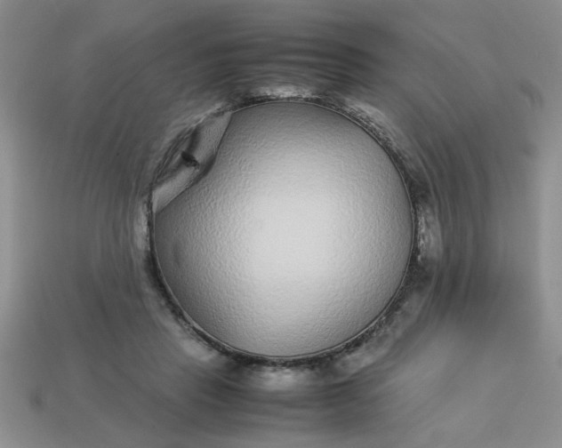 X0000113010453200909101821