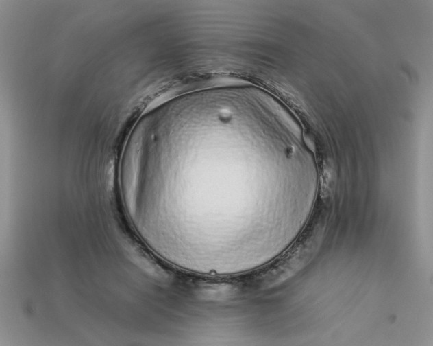 X0000113010454200909101821