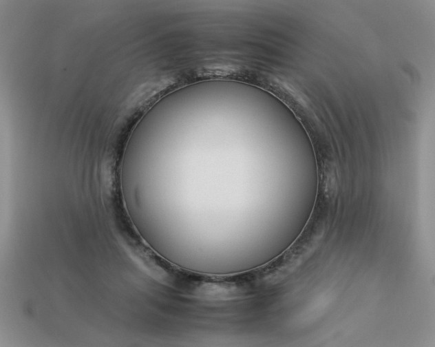 X0000113010455200909101821