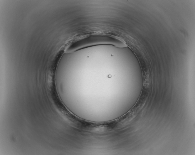 X0000113010456200909101821