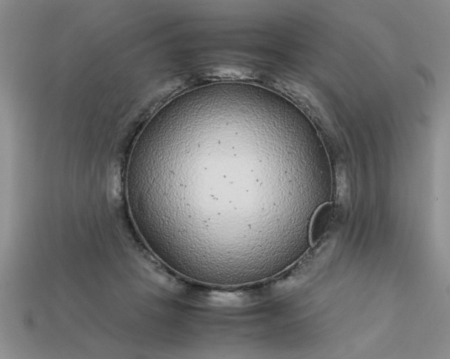 X0000113010457200909101821