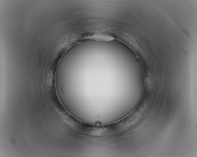 X0000113010458200909101821