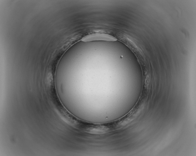 X0000113010459200909101821