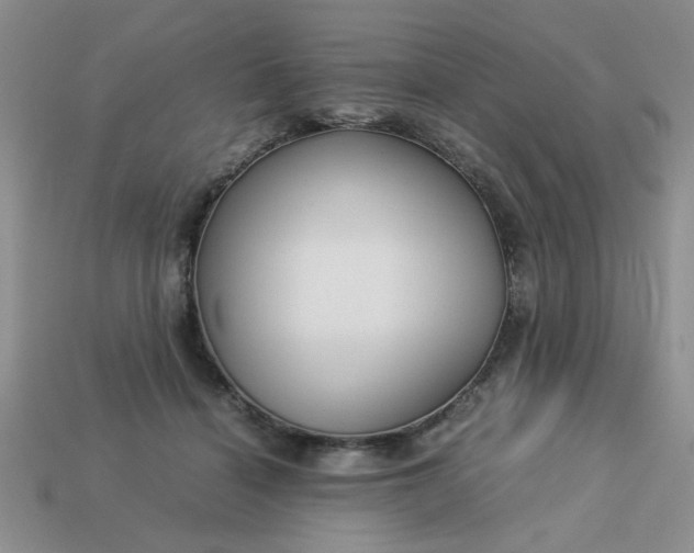 X0000113010460200909101821