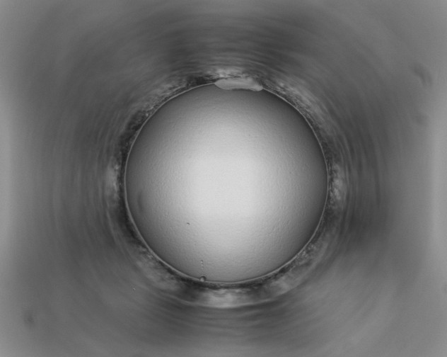 X0000113010461200909101821