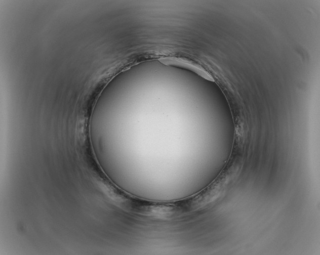 X0000113010462200909101821