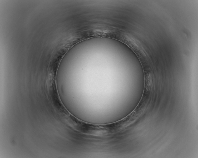 X0000113010463200909101821