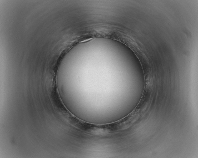 X0000113010464200909101821