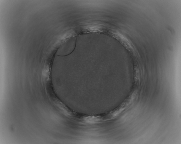 X0000113010465200909101821