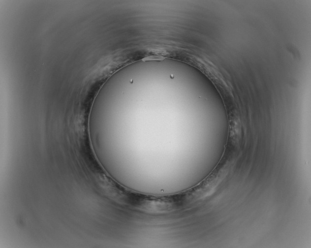 X0000113010466200909101821