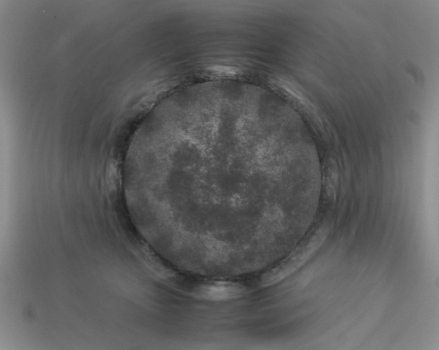 X0000113010467200909101821