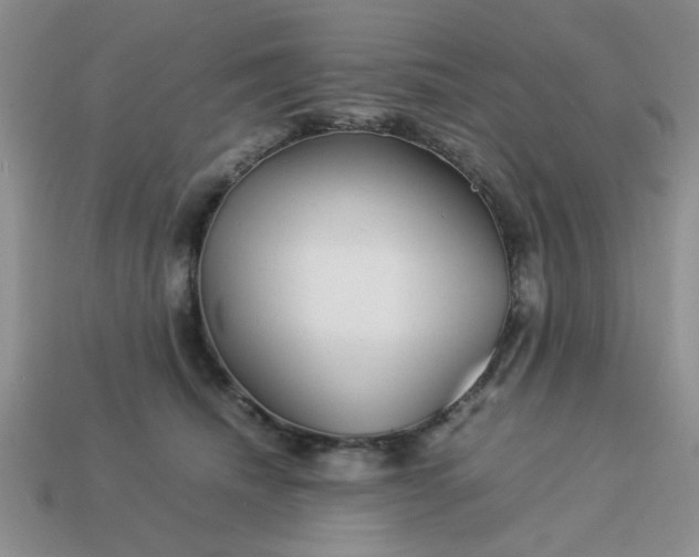 X0000113010468200909101821